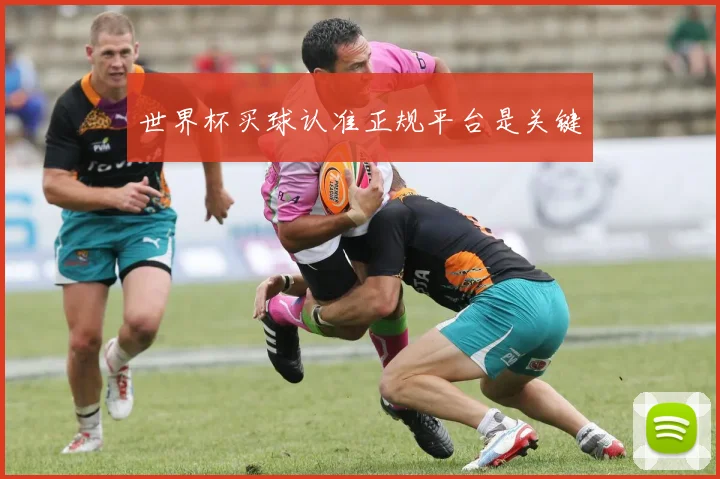 世界杯买球认准正规平台是关键
