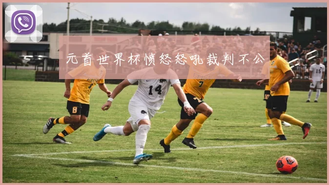 元首世界杯愤怒怒吼裁判不公