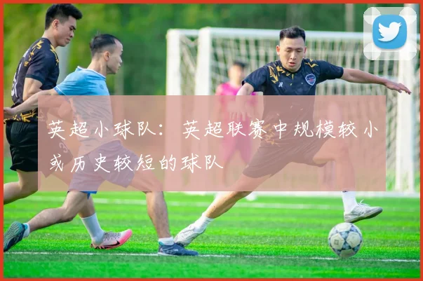 英超小球队：英超联赛中规模较小或历史较短的球队