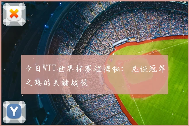 今日WTT世界杯赛程揭秘：见证冠军之路的关键战役