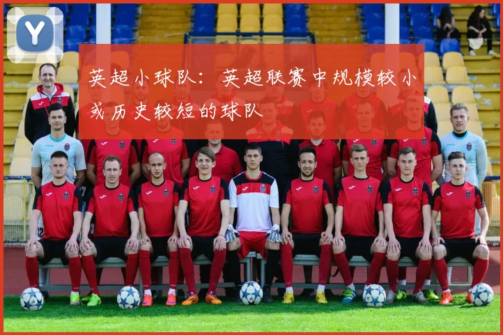 英超小球队：英超联赛中规模较小或历史较短的球队