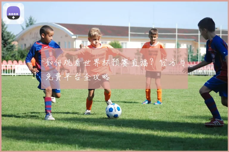 如何观看世界杯预赛直播？官方与免费平台全攻略