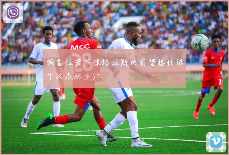 佩雷拉若下课格拉斯纳有望接任诺丁汉森林主帅